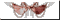 Оберег Духа